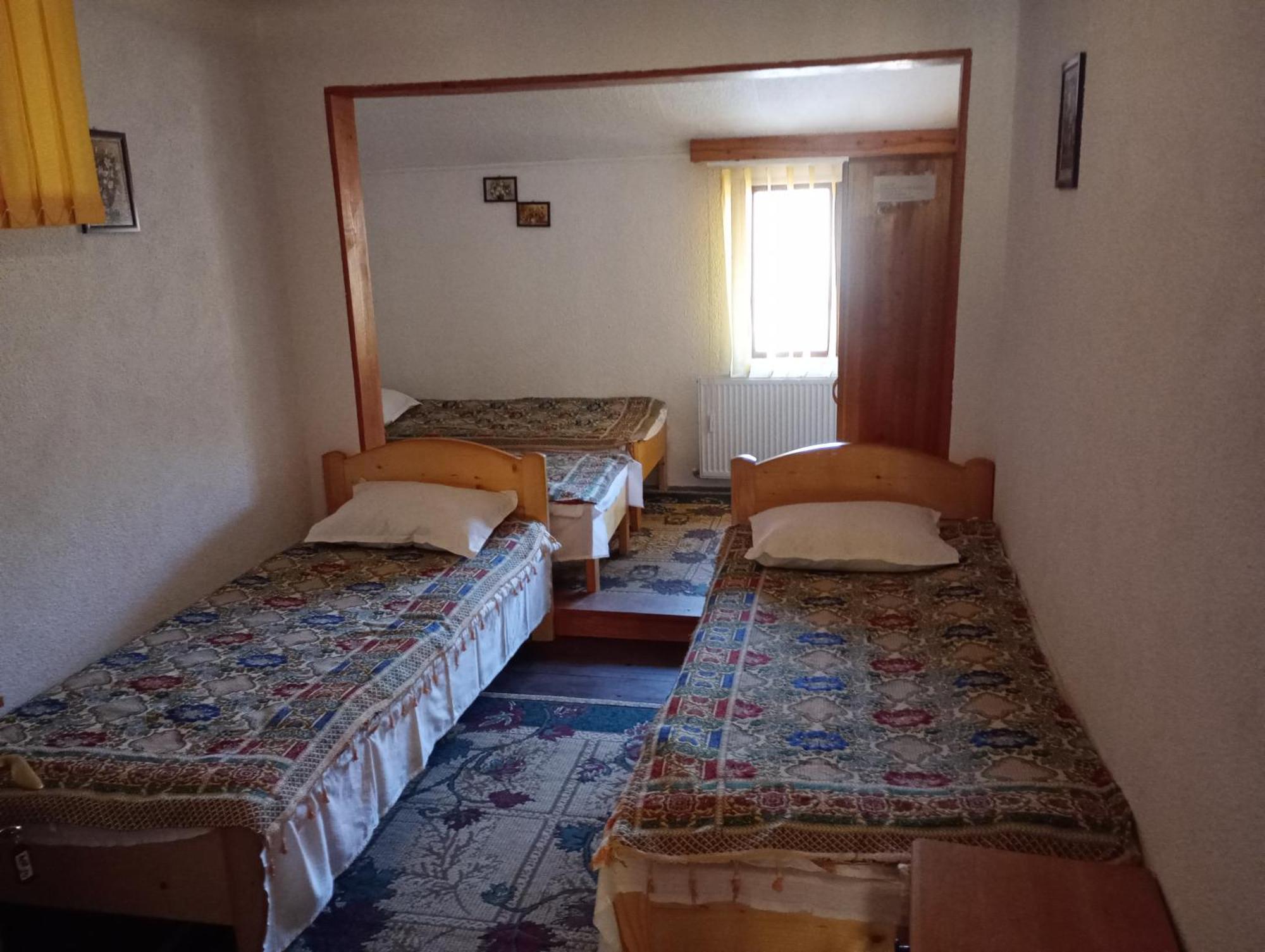 Pensiunea Irina 1 Si 2 Zărneşti Exterior foto