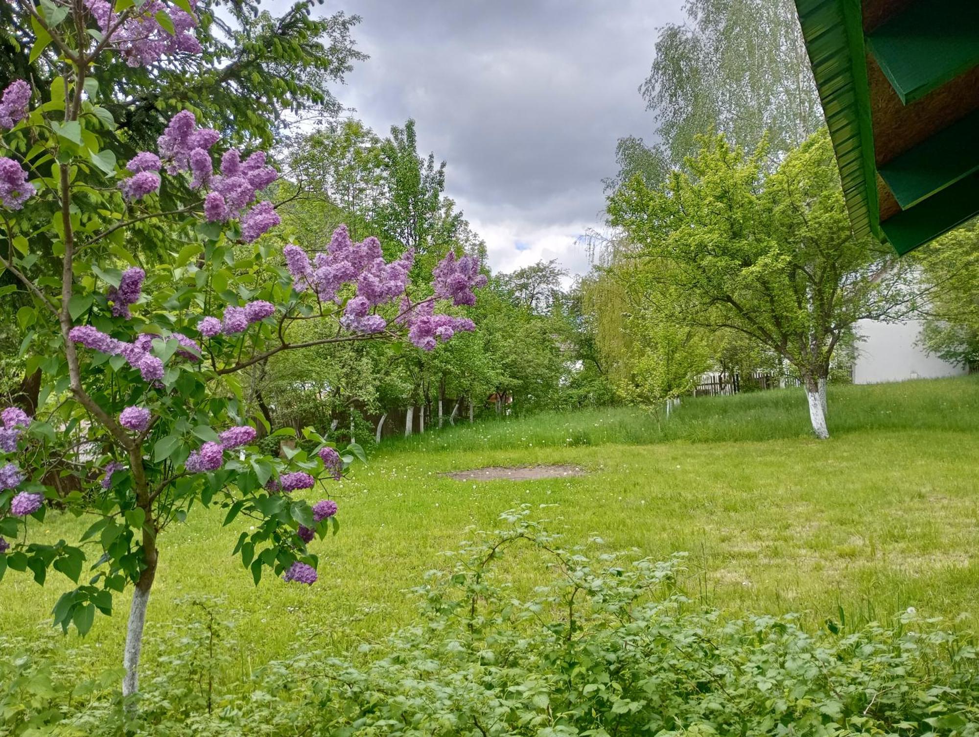 Pensiunea Irina 1 Si 2 Zărneşti Exterior foto